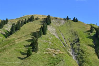 2020 09 10 Körbersee,_DSE_7718_b_488px